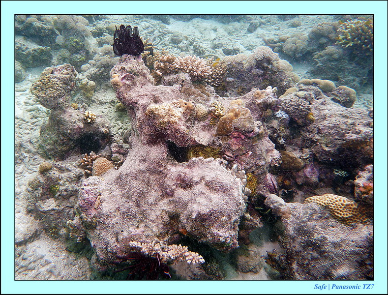 2011 - 08 - Bohey Dulang Island 02